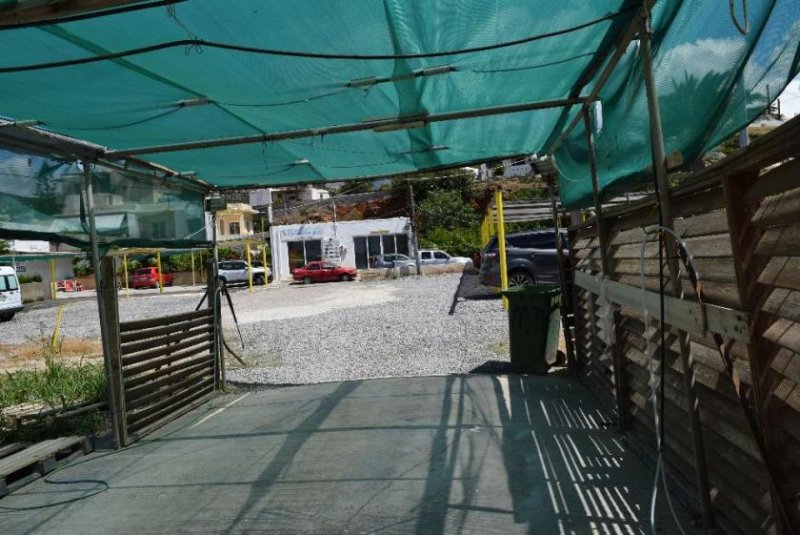 Makry Gialos Südostkreta, Makry Gialos: Grundstück in Meeresnähe zu verkaufen Grundstück kaufen